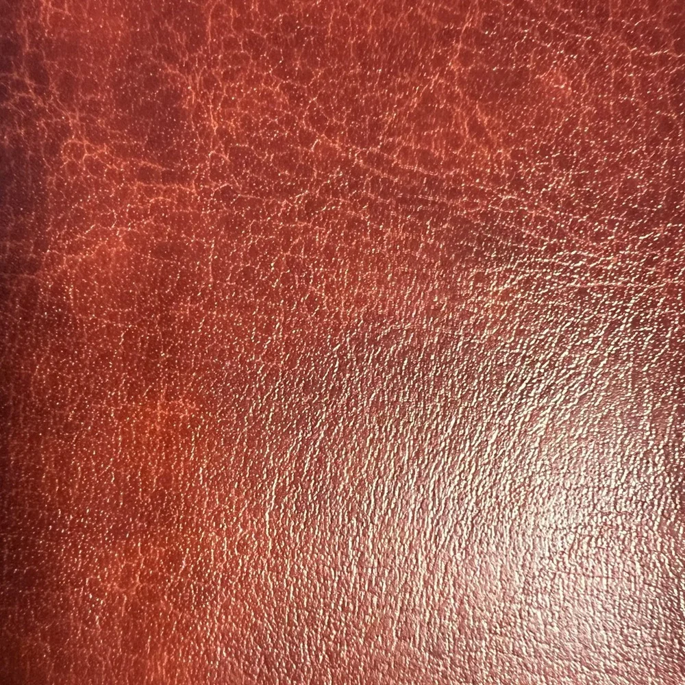 Fits iPhone 13 Pro Max. Near perfect condition. One small blemish as shown.